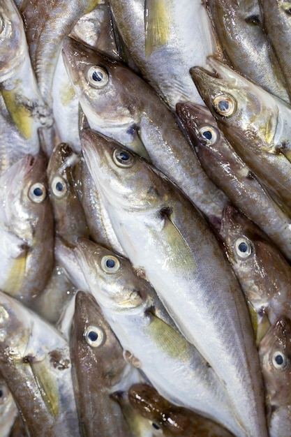 Frischer Fisch zum Verkauf an der Fischertheke