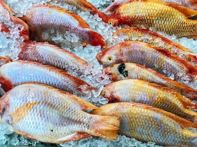 Frischer Fisch zum Verkauf auf dem Markt