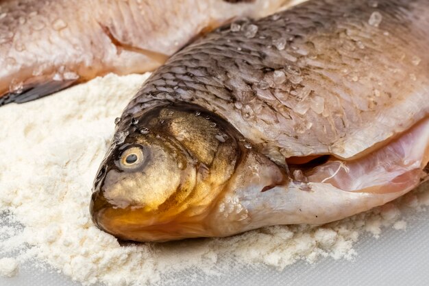 Frischer Fischkreuzer mit grobem Salz. Mahlzeiten kochen, Nahaufnahme