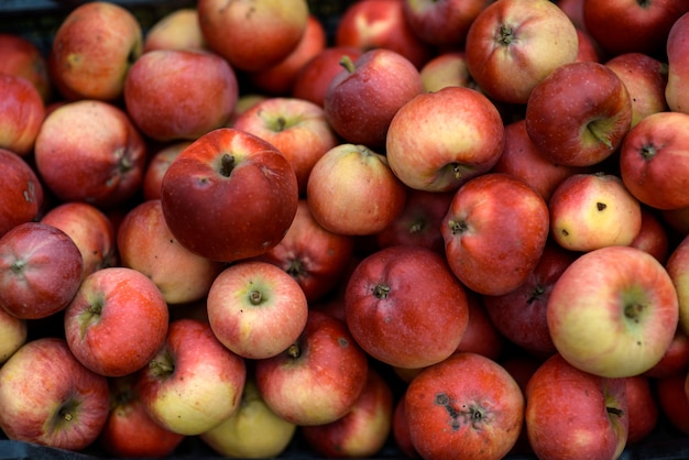 Frischer Gartenapfel