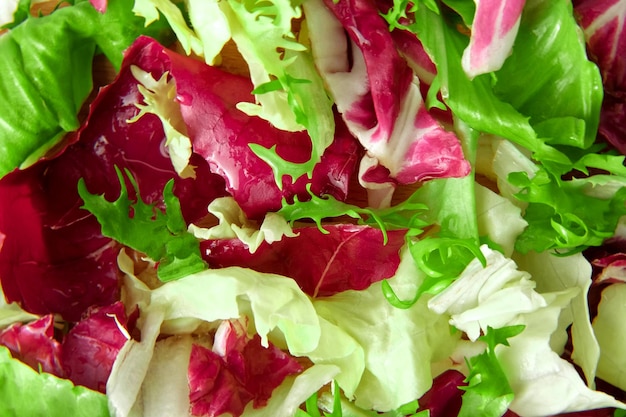 Frischer gemischter Salat Feldgemüse gestapelt Nahaufnahme Draufsicht Verschiedene Gemüseblätter Tapete Gesunde saftige Salatmischung mit Frisee-Radicchio-Mangoldblatt und Kopfsalat dreht sich um Gemischte Grüns