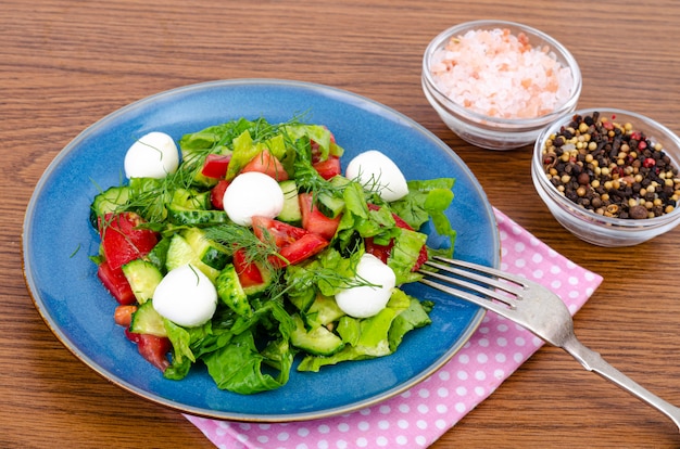 Frischer Gemüsesalat mit Mozzarella-Kugeln. Studiofoto