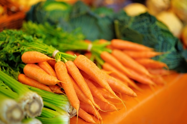 Frischer gesunder Biofenchel und Karotten auf Paris-Landwirtlandwirtmarkt