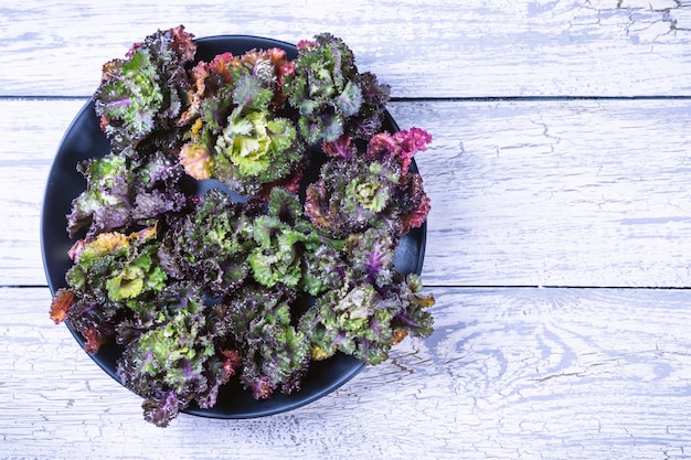 Frischer, gesunder, farbiger Kalettes-Blumenspross auf einem hölzernen Hintergrund.