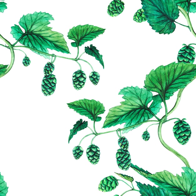 Frischer grüner Hopfen Aquarell handgezeichnete Illustration für das Oktoberfest Skizze auf transparentem Hintergrund für Ornamente oder beliebiges Design