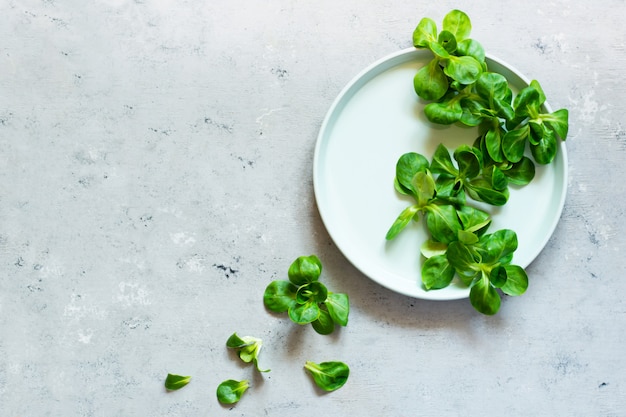 Frischer grüner Maissalat auf einem Teller