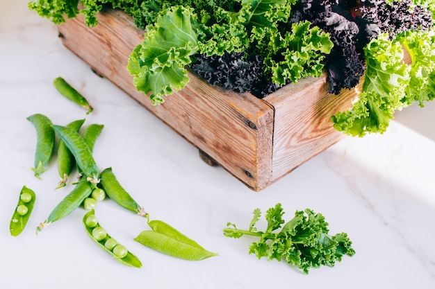 Frischer grüner, purpurroter kohl und erbsen in einer holzkiste auf marmor, kopienraum