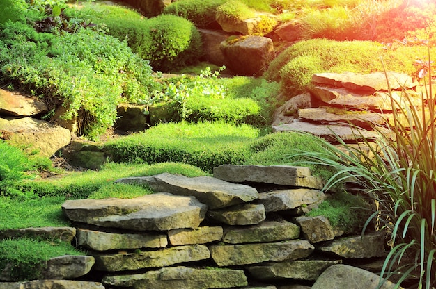 frischer grüner Rasen im Sonnenlicht, Landschaftsgestaltung im Garten