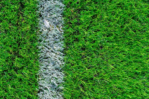 Frischer grüner Rasen mit Markierungen auf dem Fußballplatz