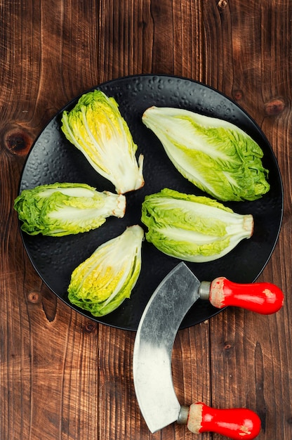 Foto frischer grüner romain-salat