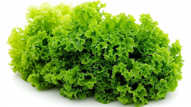 Frischer grüner Salat HD 8K Tapeten Fotografie