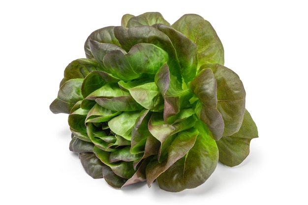 Frischer grüner Salat isoliert auf weißem Hintergrund
