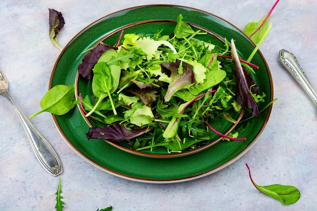 Frischer grüner Salat