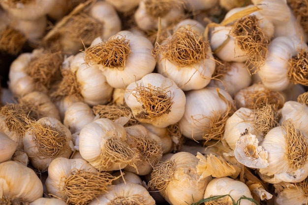 Frischer Knoblauch auf dem Markt