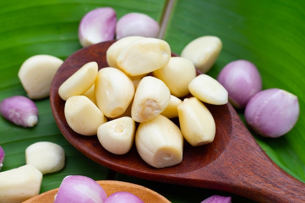 Frischer Knoblauch mit Schalotte auf grünem Blatt