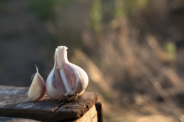 Frischer Knoblauch und eine Knoblauchzehe auf einem Holztisch