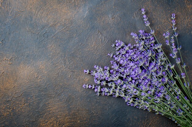 Frischer Lavendel auf dunklem Hintergrund