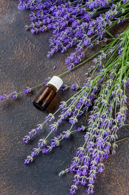 Frischer Lavendel und Glas mit Lavendelöl auf dunklem Hintergrund