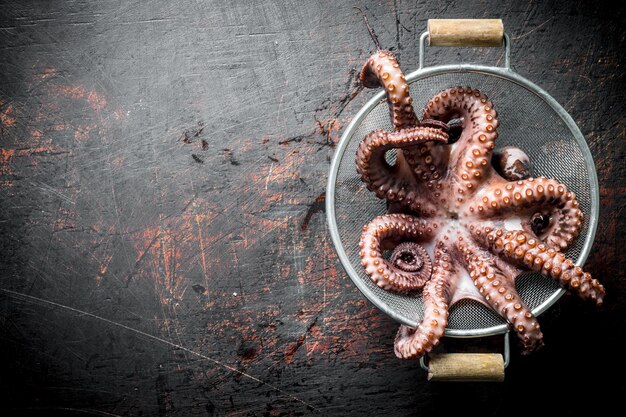 Foto frischer oktopus in einem sieb