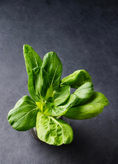 Frischer Pak Choi Chinakohl auf dunklem Hintergrund Das Konzept der gesunden vegetarischen Kost