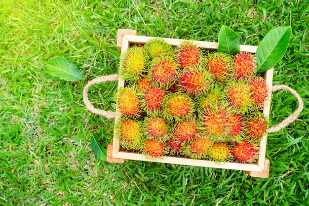 Foto frischer rambutans in der holzkiste