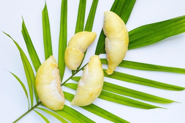 Frischer reifer Durian auf grünen Blättern