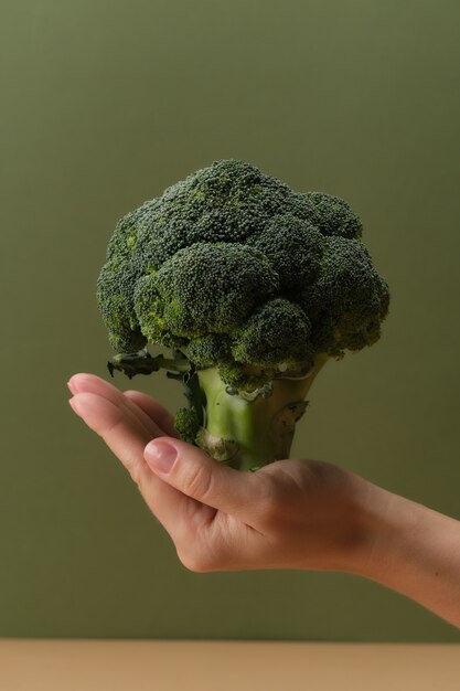 Frischer roher Brokkoli in der Hand gesunde Ernährung und Vegetarismus-Konzept