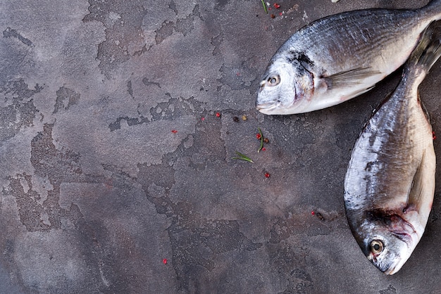 Frischer roher Fisch