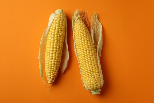 Frischer roher Mais auf orangem Hintergrund, Ansicht von oben