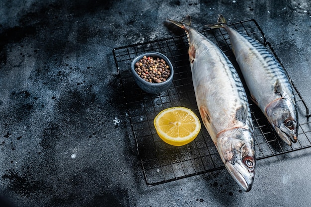 Frischer, roher Makrelen-Scomber-Fisch bereit zum Grillen, schwarzer Hintergrund, Draufsicht, Kopierraum