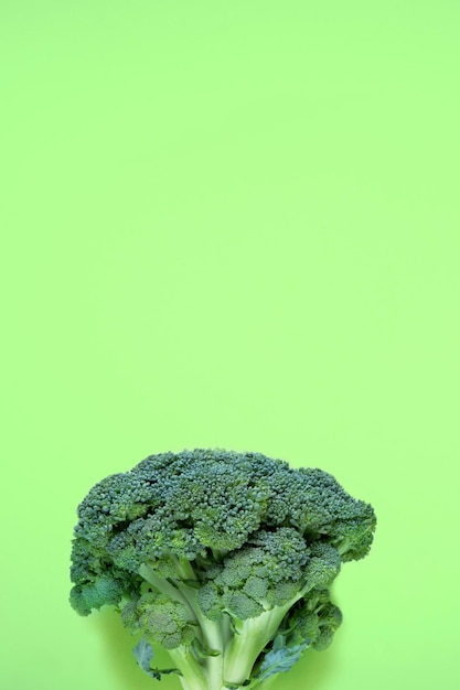 Frischer roher organischer Brokkoli grüner Hintergrund Abstrakte pflanzliche Hintergrundkohlbeschaffenheitsdetails