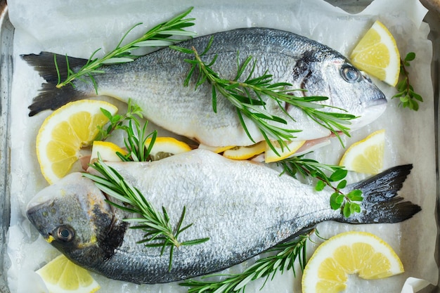 Frischer, roher, ungekochter Meeresdorado, Dorada-Fisch mit Zitrone, Rosmarin, Oregano, Kräutern, Olivenöl auf dem Küchentisch. Ansicht von oben, flacher Hintergrund