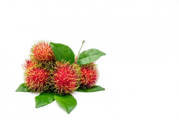 Frischer roter reifer Rambutan (Nephelium lappaceum) mit isolierten Blättern