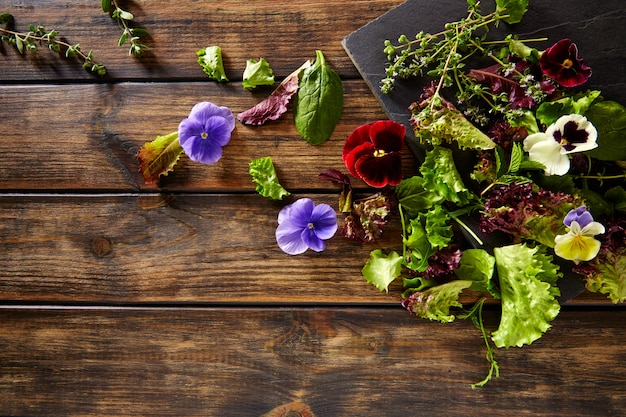 Frischer saland Bestandteilsalat blüht Spinat