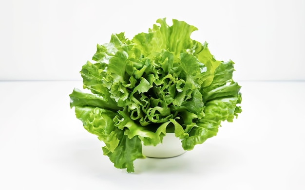Frischer Salat auf weißem Hintergrund