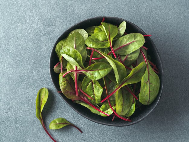 Frischer Salat aus grünen Mangoldblättern oder Mangold