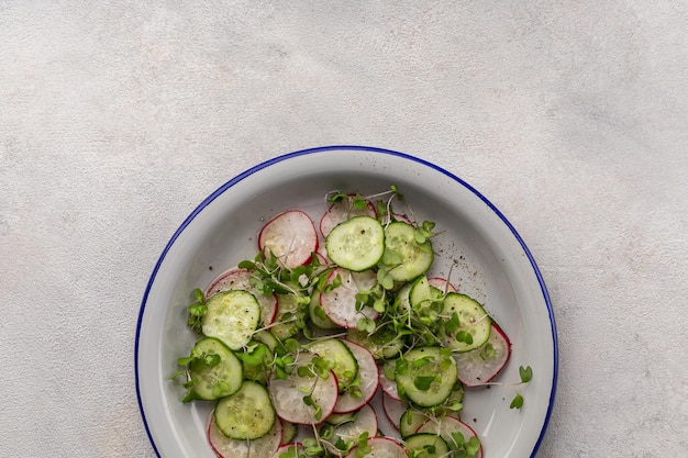 Frischer Salat aus Rettichgurke und Mikrogrün in einem flachen Teller auf hellem Hintergrund mit Kopierraum