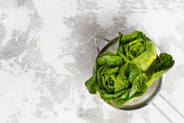 Frischer Salat im Metallsieb