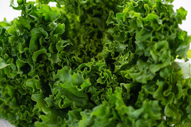 Frischer Salat Nahaufnahme selektiver Fokus closeup