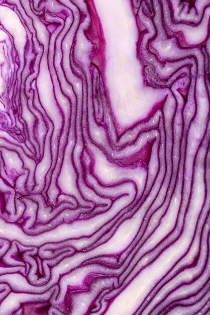 Frischer schöner Rotkohl mit strukturierten Blättern auf dunklem Betonhintergrund Vegetarische Küche