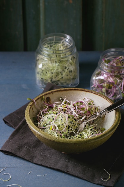 Frischer Sprossen-Salat