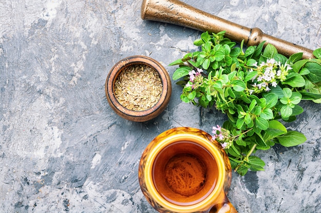 Frischer und getrockneter Oregano