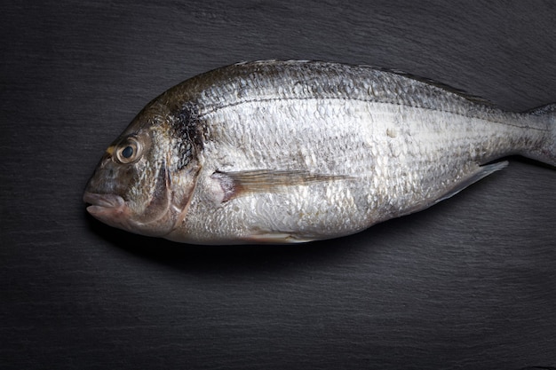 Frischer ungekochter Dorado-Fisch auf grauem Stein und Küchentisch. Draufsicht.