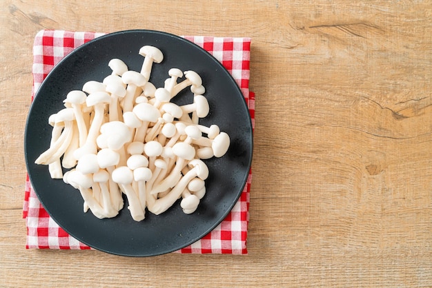 Frischer Weißbuchenpilz oder weißer Reishi-Pilz auf Teller