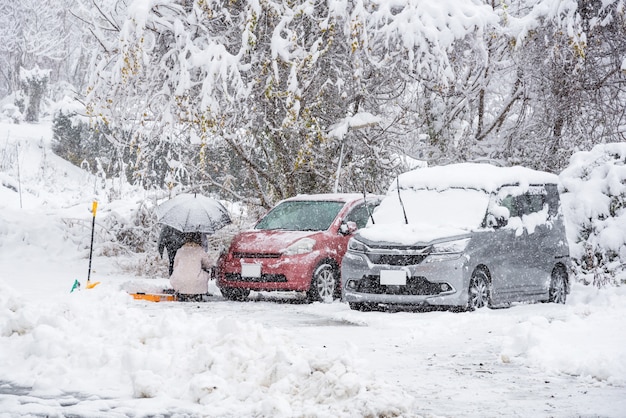 Frischer weißer Schnee, der in Wintersaison bei Kawaguchiko, Japan fällt