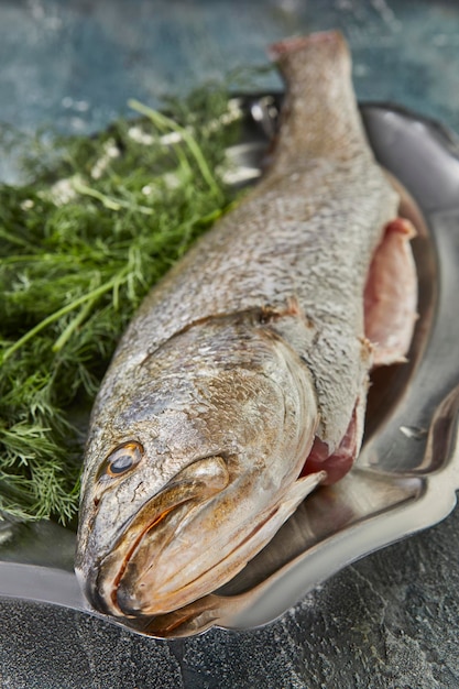 Frischer Wolfsbarschfisch mit Kräutern auf dem Brett, fertig zum Kochen. Französische Gourmetküche