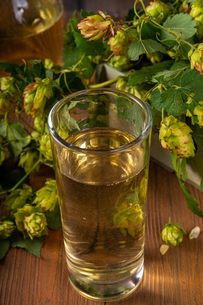 Frisches alkoholfreies Hopfenwasser im Glas und Krug mit frischen Hopfenzapfen auf Holztisch