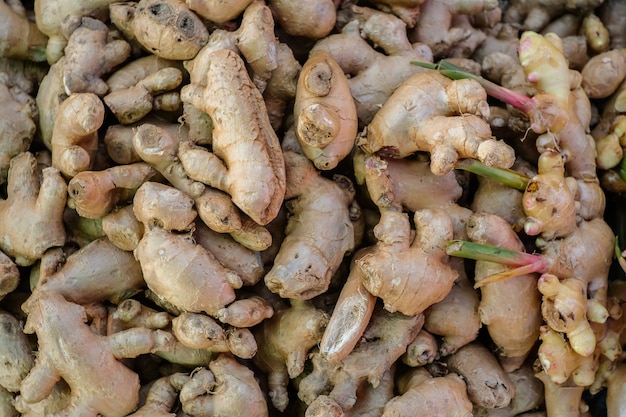 Frisches Bio-Ingwer-Display zum Verkauf auf dem Markt.