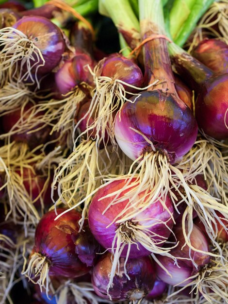 Frisches Bio-Lebensmittel auf dem lokalen Bauernmarkt. Bauernmärkte sind eine traditionelle Art, landwirtschaftliche Produkte zu verkaufen.