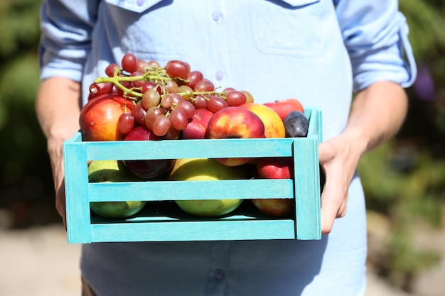 Frisches Bio-Obst in Holzkiste in der Hand im Freien